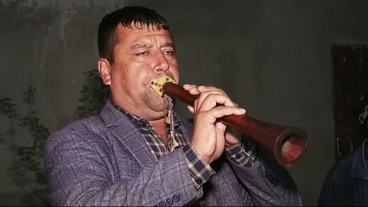 Paxtaobod toylari