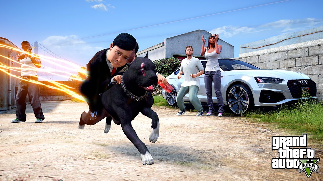 SÜLEYMAN SİYAH PİTBULL JACK'İN ÜSTÜNE BİNDİ! TÜM MAHALLEYİ GEZDİK! - GTA 5 GERÇEK HAYAT