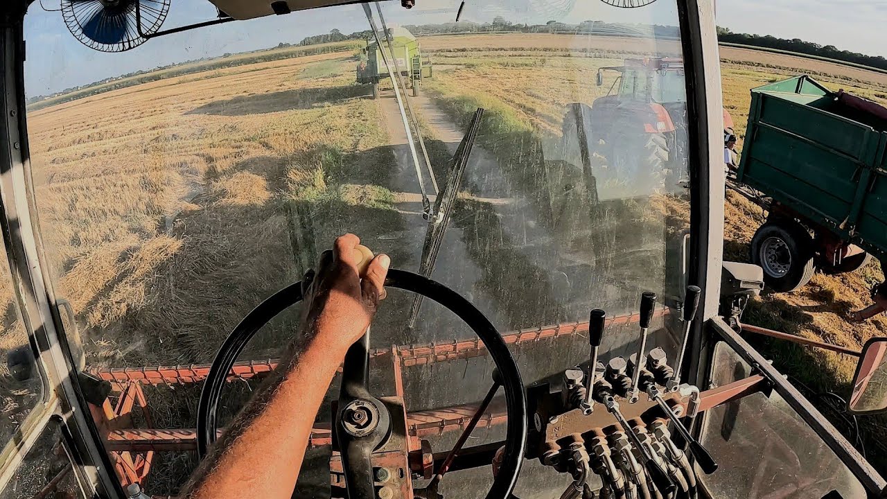 🚜 CAB-VIEW 👨‍🌾 Żniwa Pszenicy Bizon w Akcji! 🌾| Bizon z056 | #7