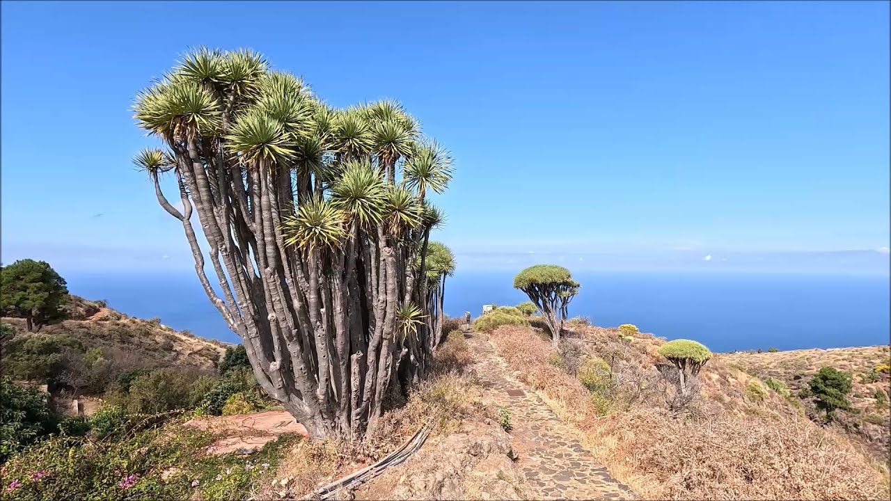 2025 La Palma 8 days trip Hiking and Swimming