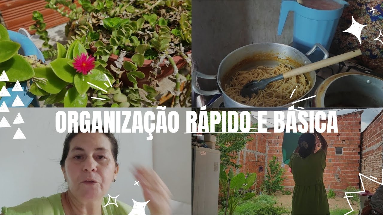 Organização rápida e básica 