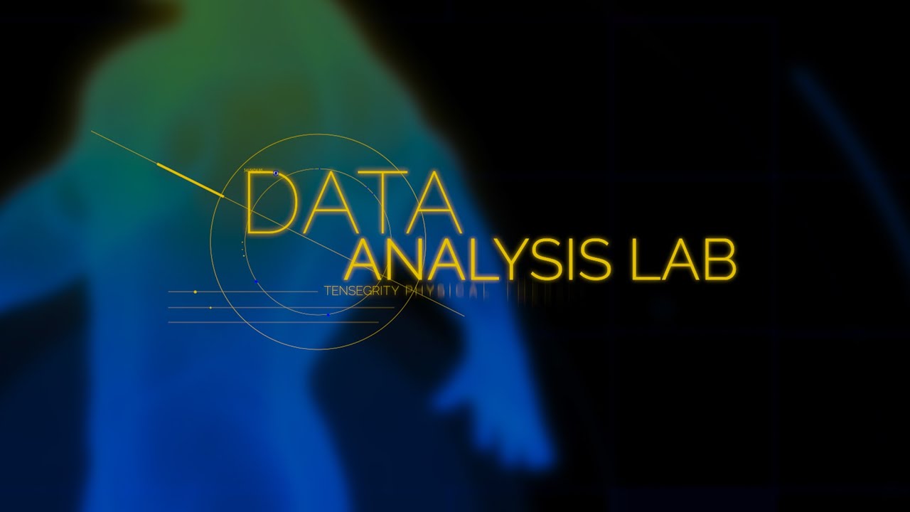 Data Analysis Lab - Tensegrity Physical Therapy