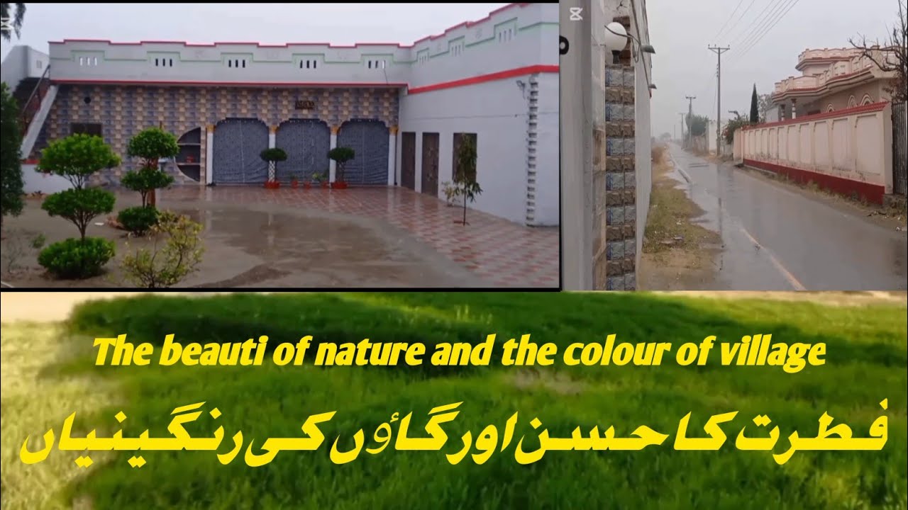 The beauty of nature and the colure of village 💖Fitret ka husan or village ki rangeenia. 💦 