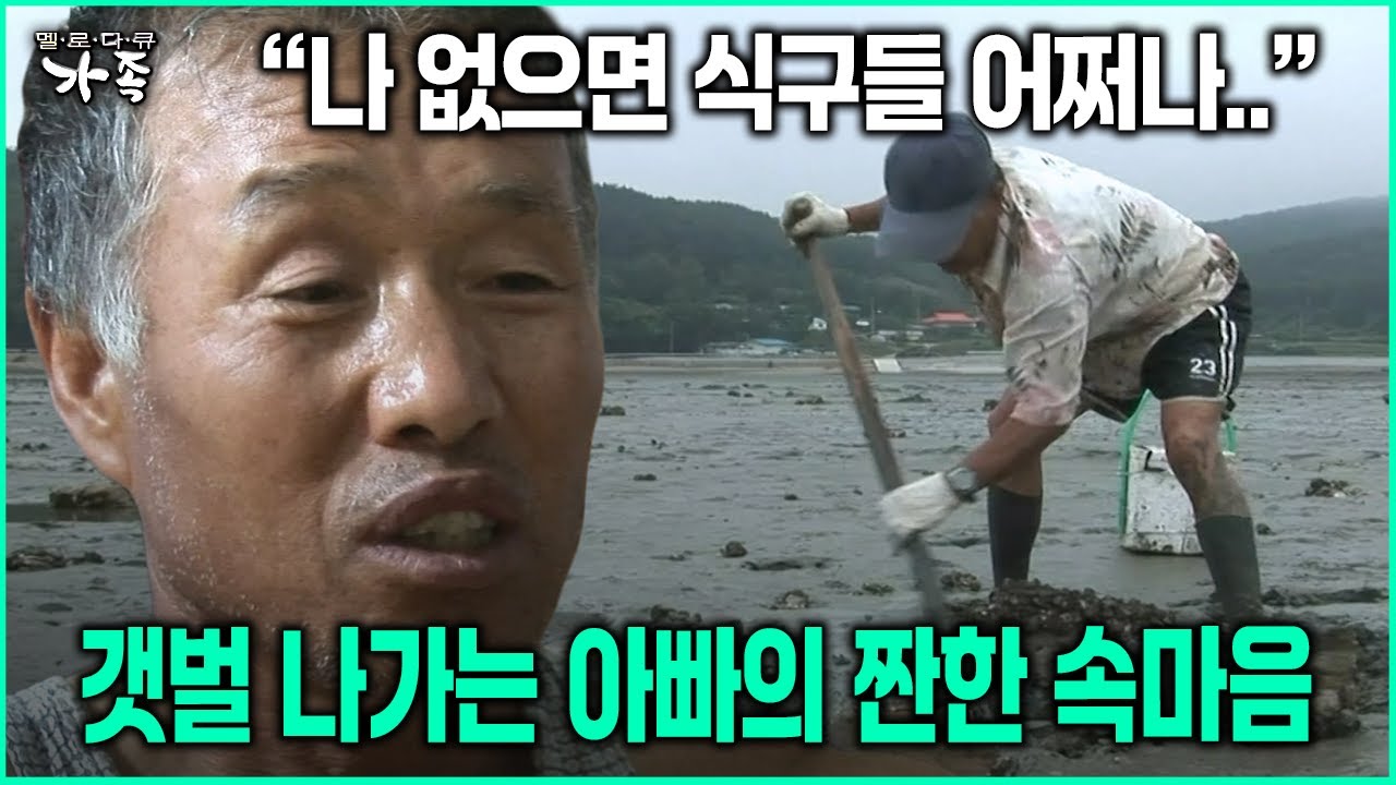 [다큐 ‘가족’ 27회-5] “나 없으면 식구들 어쩌나..” 갯벌 나가는 아빠의 짠한 속마음