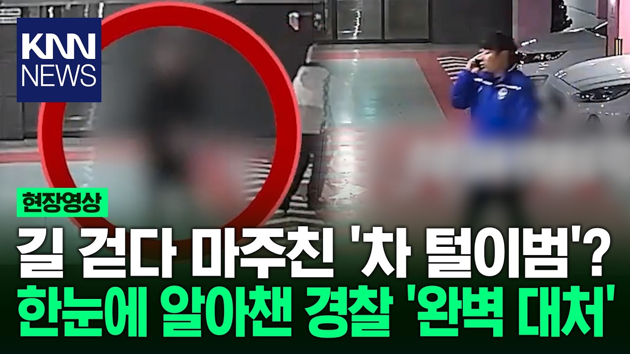 길 걷다 마주친 '차 털이범'? 한눈에 알아챈 경찰 '완벽 대처'/ KNN