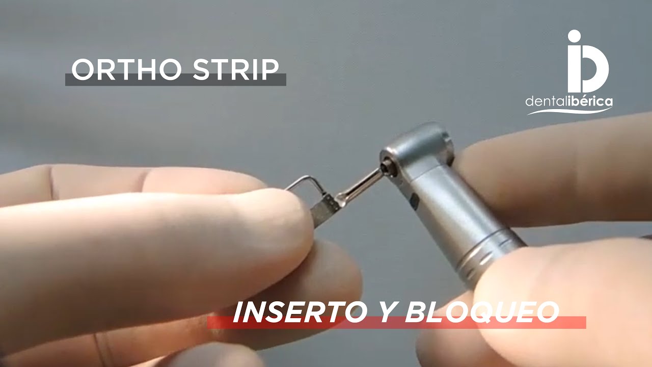 Ortho Strip Inserto y bloqueo lima INTENSIV/LEONE en Contra Ángulo | Dental Ibérica