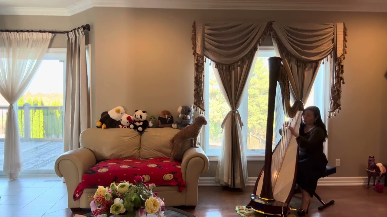 Pavane by Bernard Andrès #harp