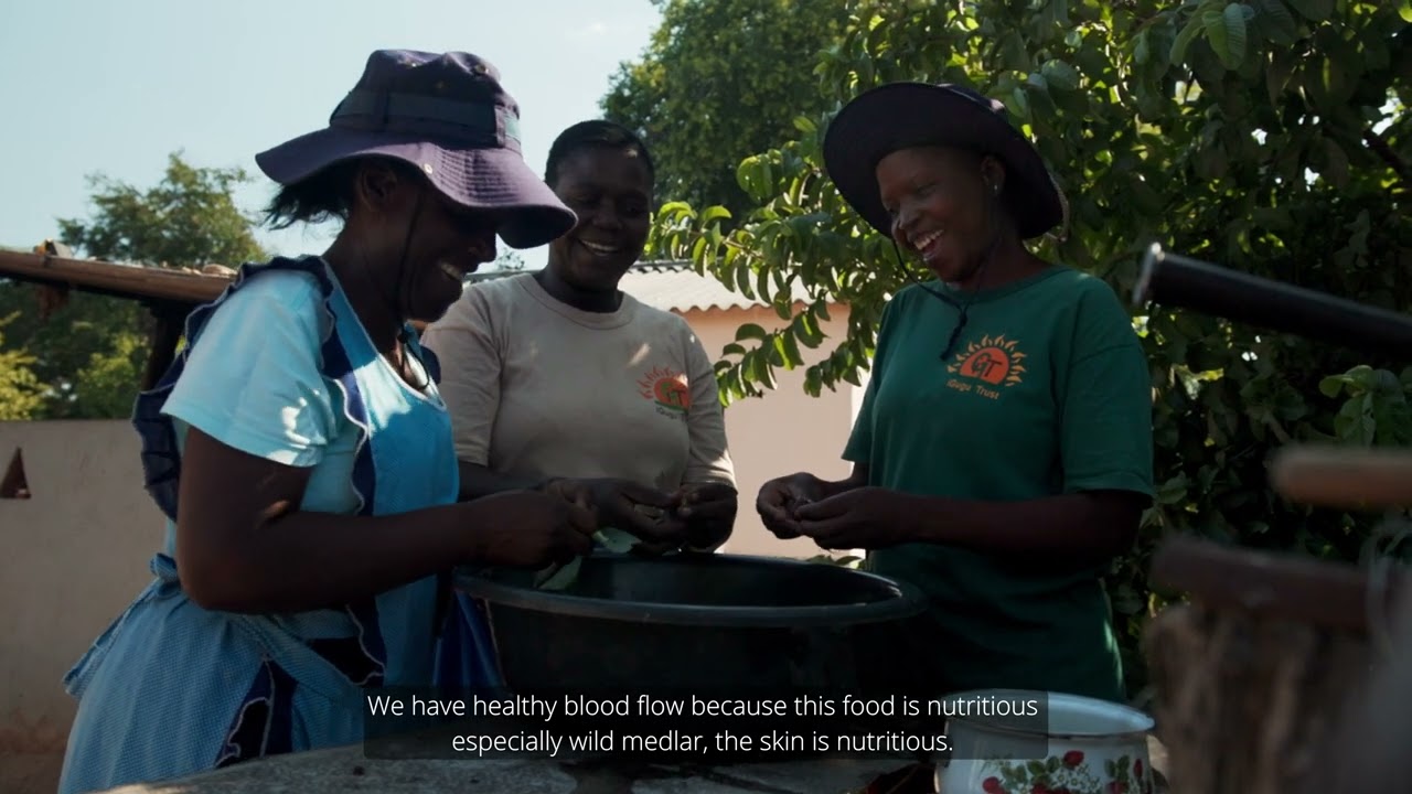 Responding to El-Nino: Agroecology products