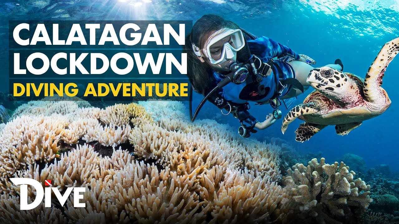 Calatagan, Batangas Lockdown Diving Adventure | THE DIVE