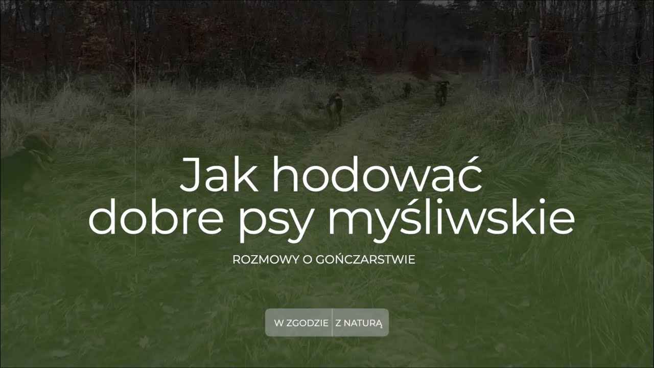 Jak hodować dobre psy myśliwskie