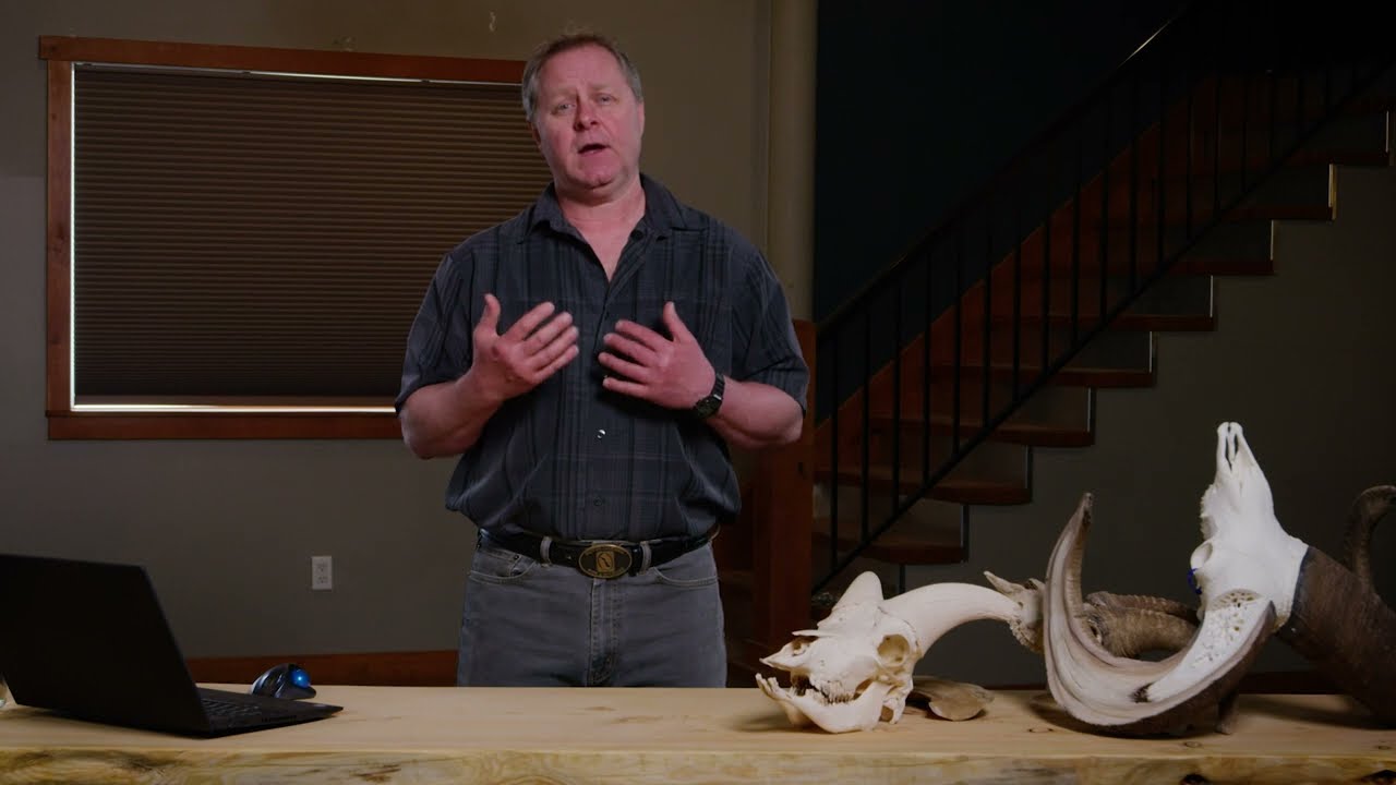 Wild Sheep Harvest and Horn Aging Education - Bill Jex