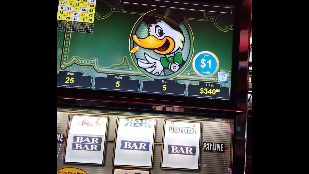 NICE SET DOWN ON MAX BET LUCKY DUCKY!