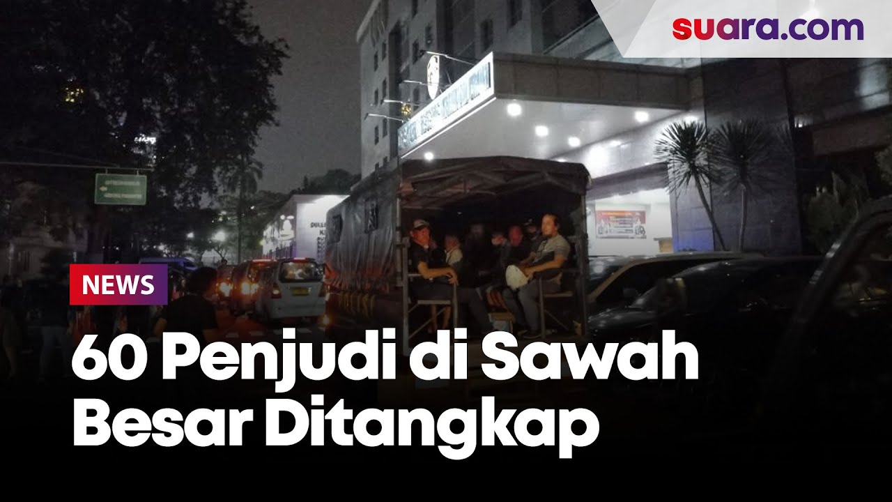 Diangkut Pakai Truk dan Angkot, 60 Penjudi di Sawah Besar Ditangkap Polda Metro Jaya