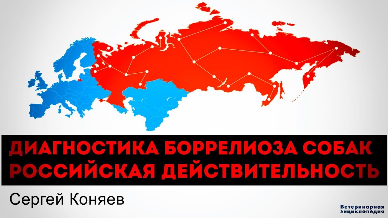 Диагностика Боррелиоза у собак