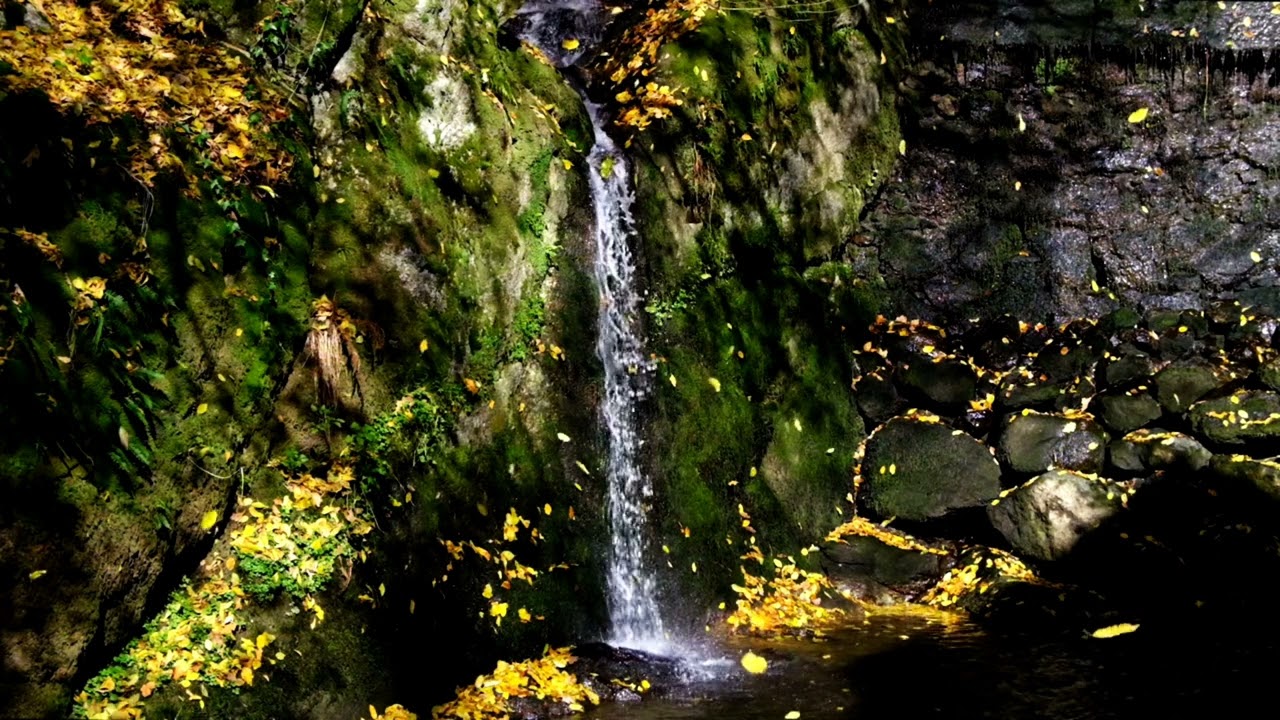 beautiful nature with peaceful music 4k #nuture#music#4K