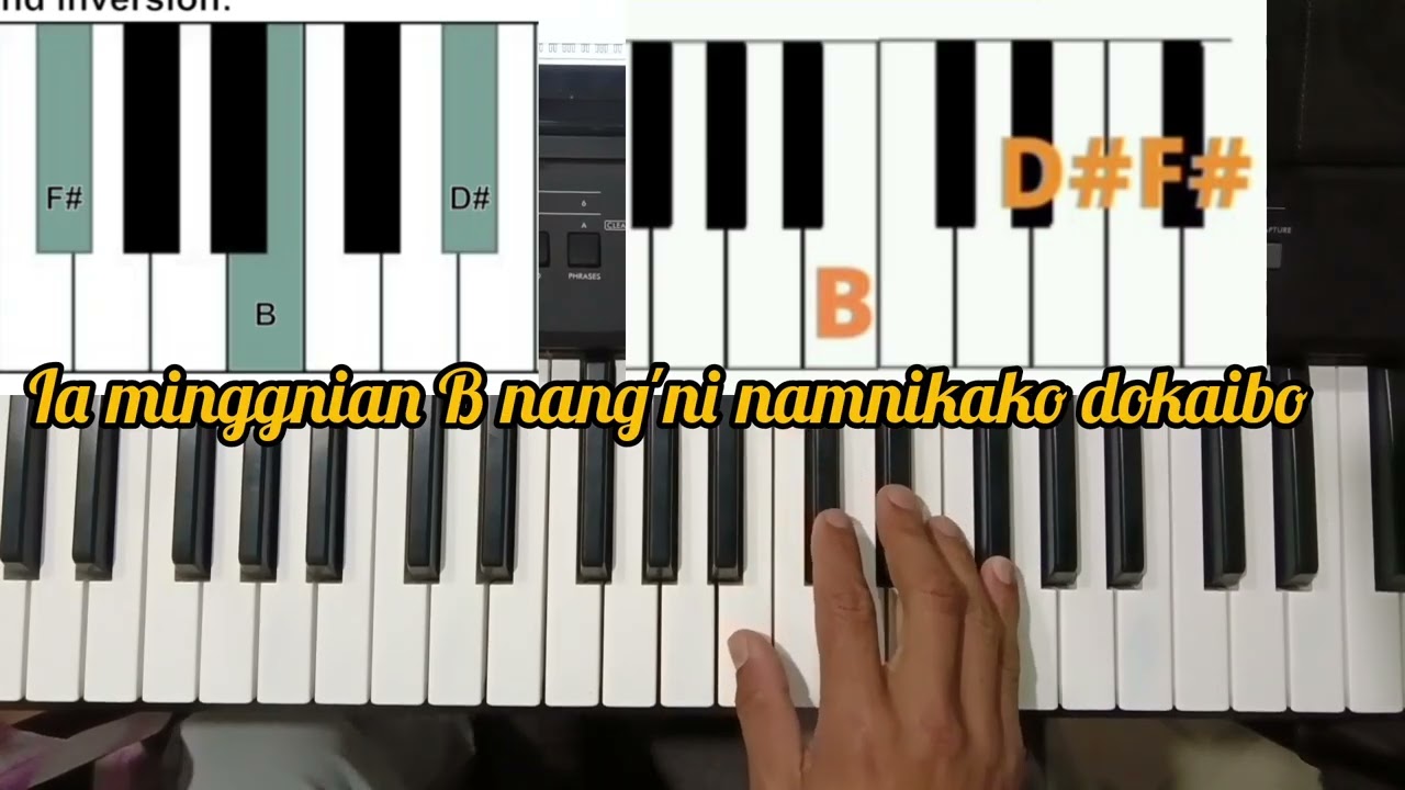 Mittelbo Gitelko Simple organ Salani