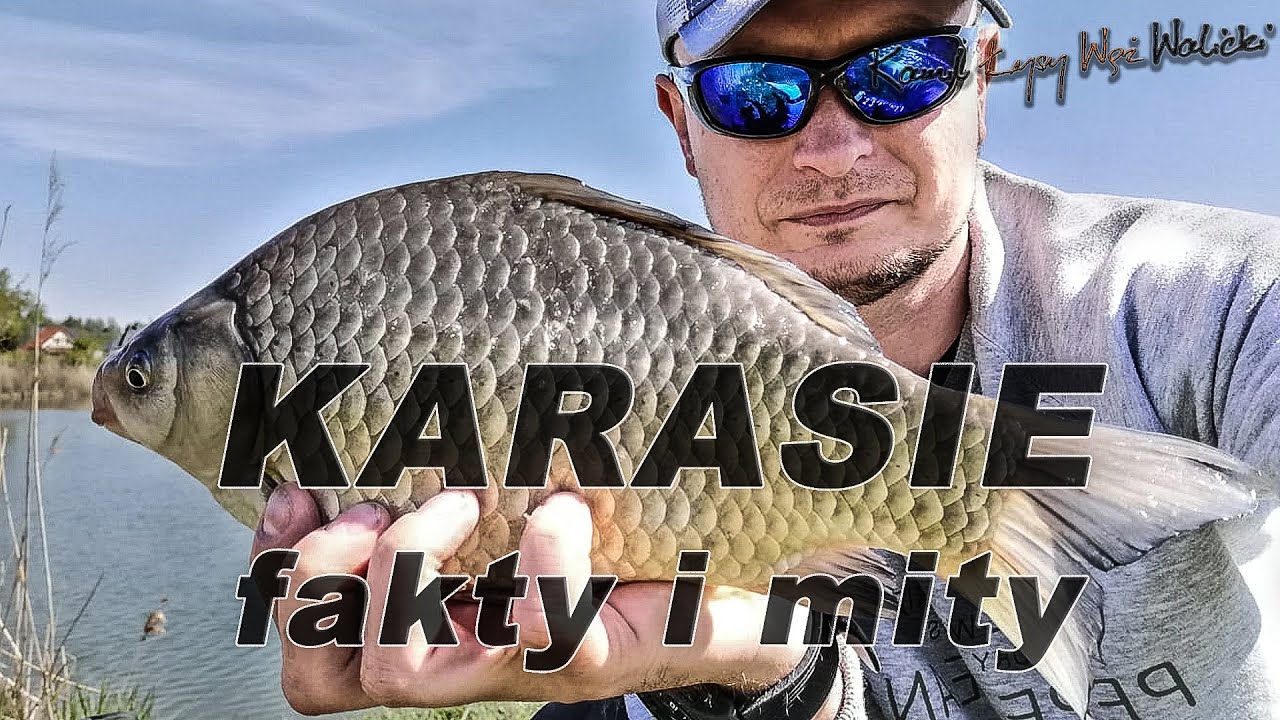 Karasie to podejrzane typy / odc.  43