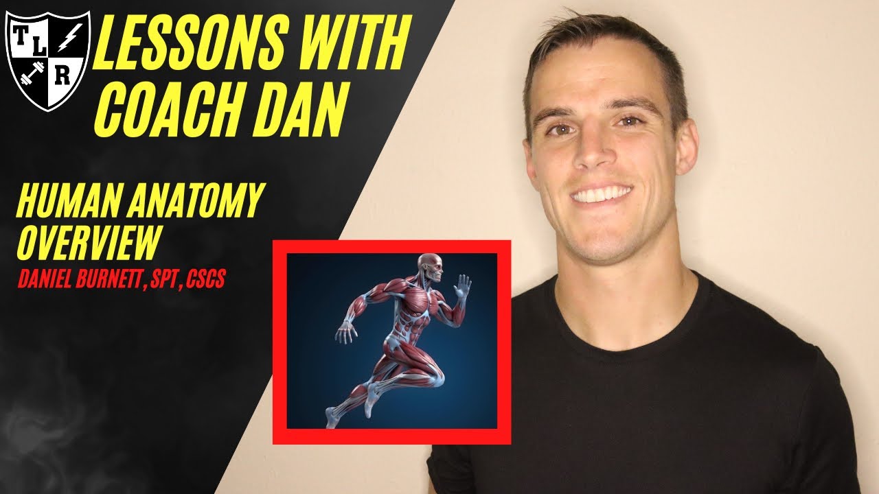Lessons with Coach Dan: Human Anatomy Overview (Muscles, Skeleton, & Important Concepts in Exercise)