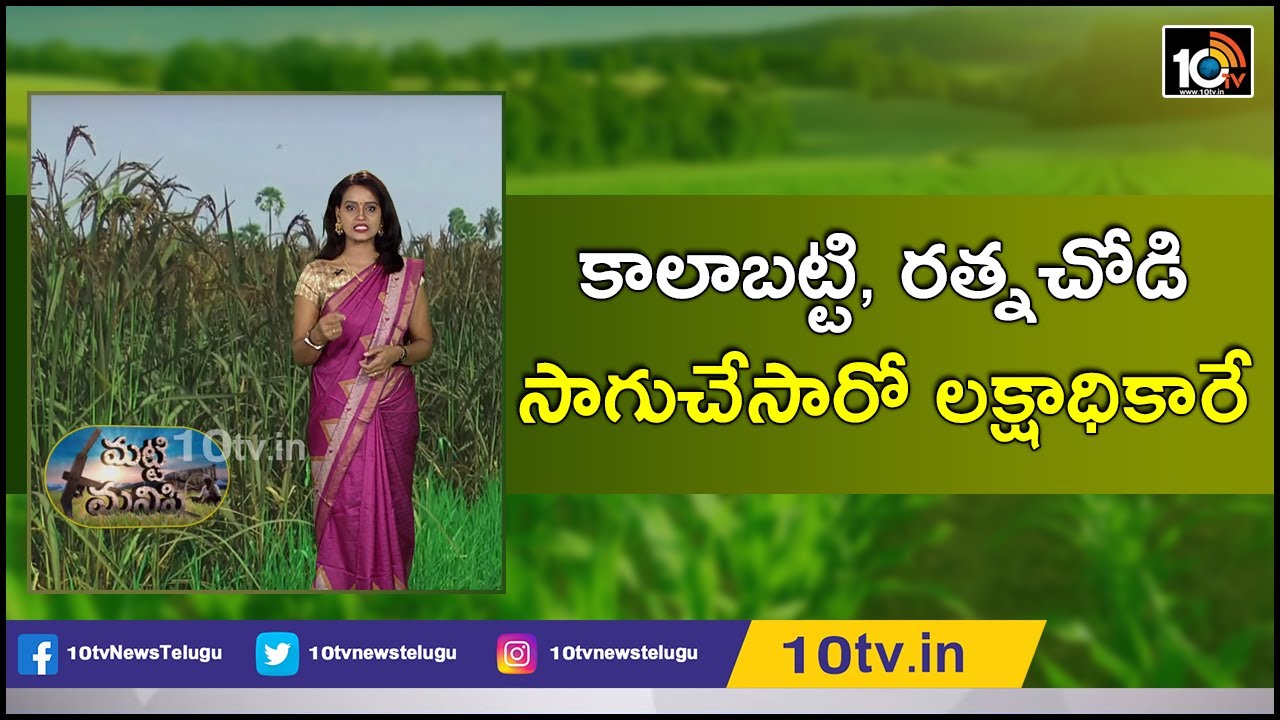 కాలాబట్టి, రత్నచోడి సాగుచేసారో లక్షాధికారే | Experiences Of Young Farmer | Matti Manishi | 10TV News