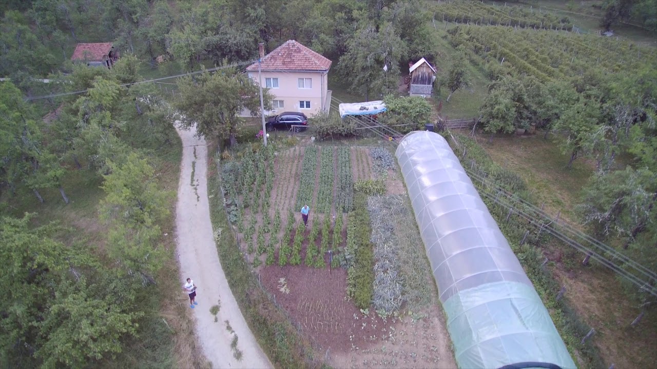 Zabrnjica 2019