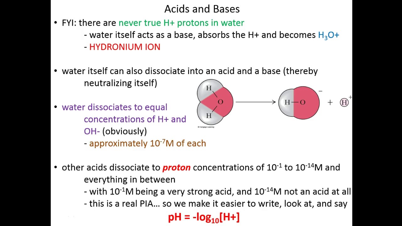 Lecture 1C - Water - Acids and Bases