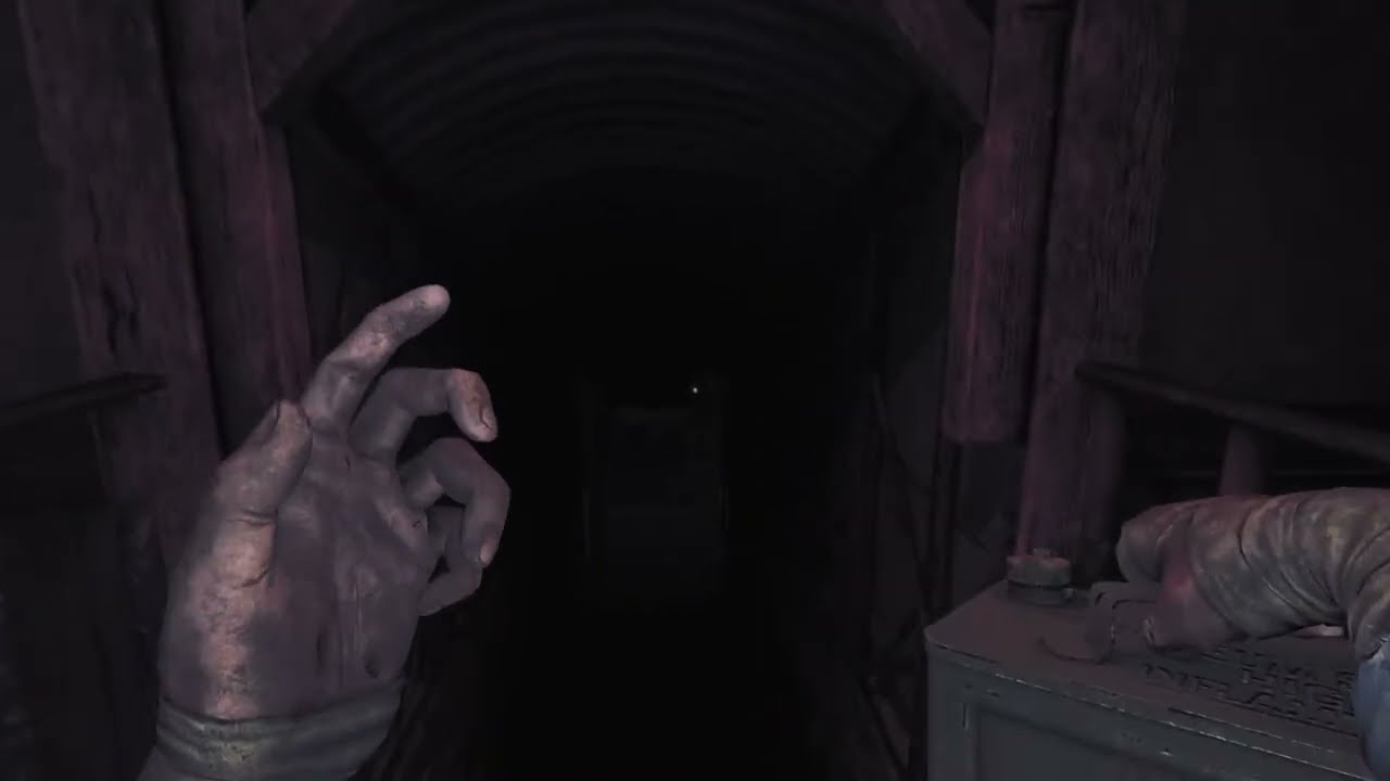 Amnesia the Bunker (zoo wee mama)