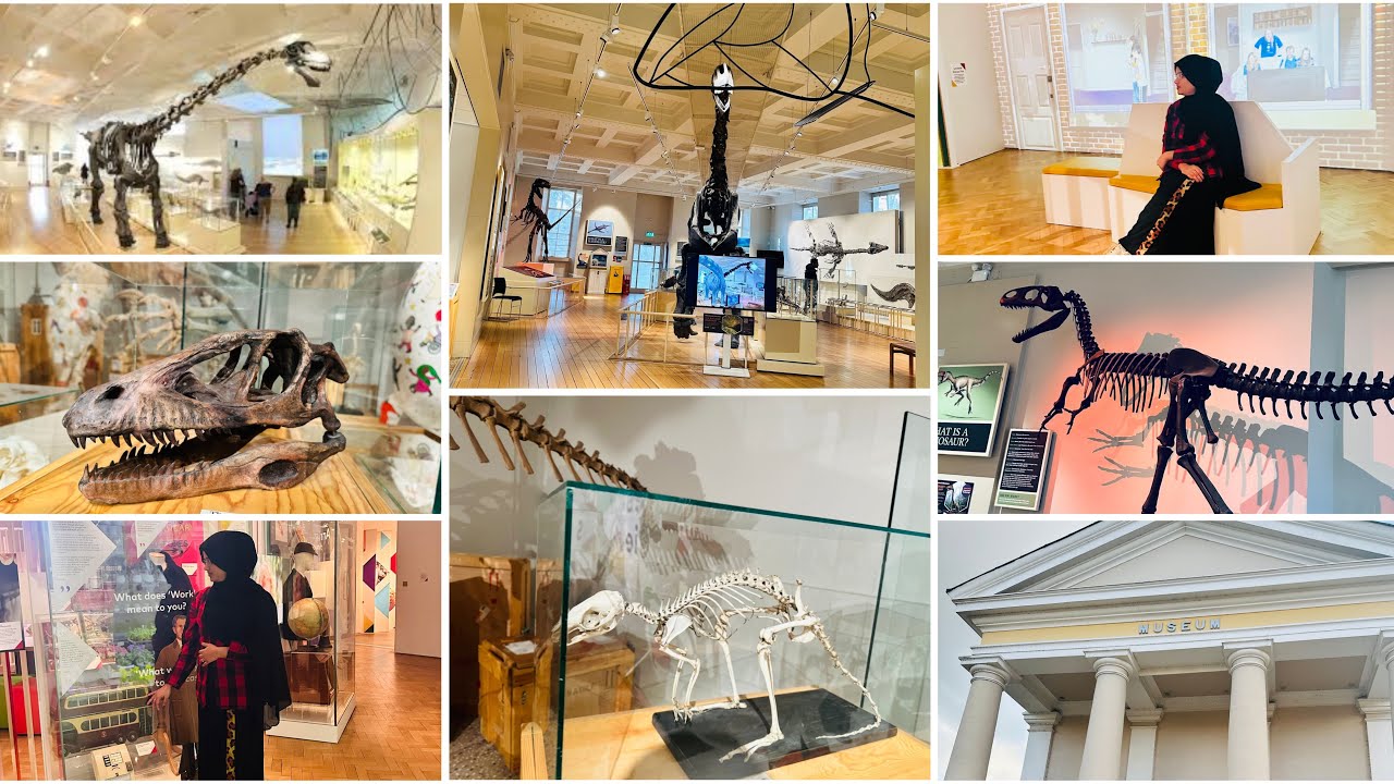 Leicester Museums 🇬🇧🤙💕ലെസ്റ്റർ മ്യൂസിയം കണ്ടാലോ