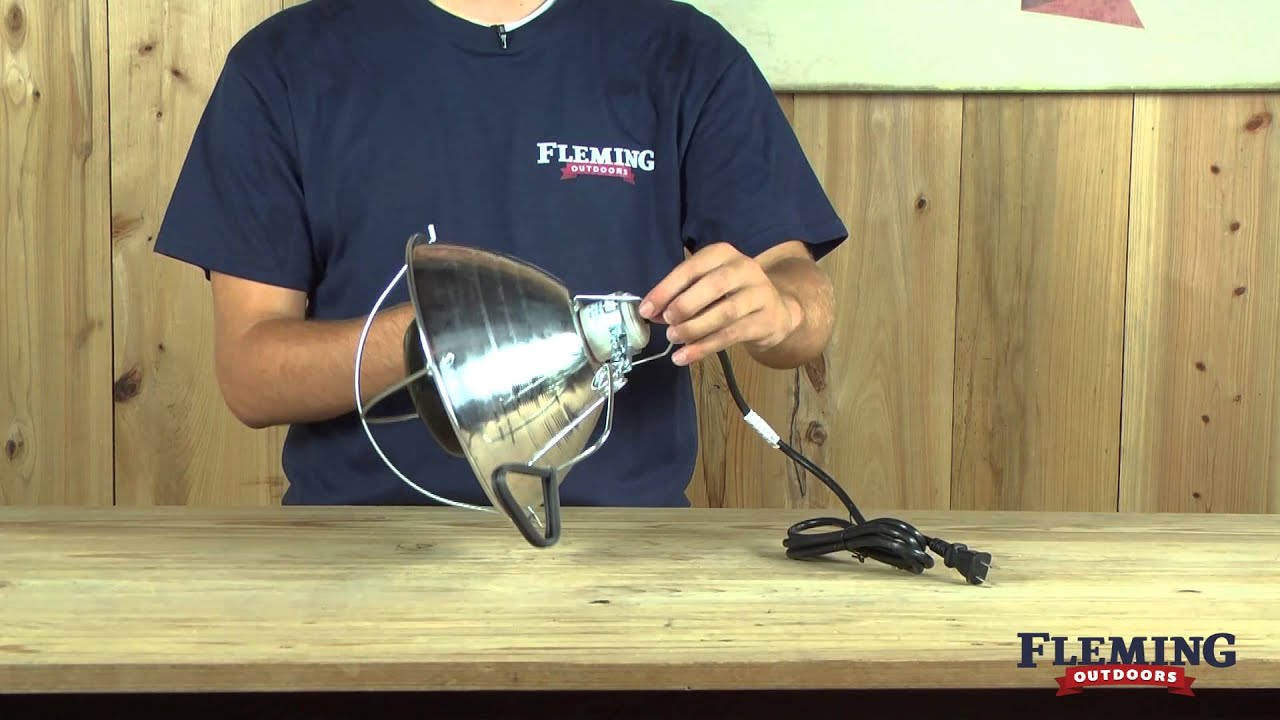 Heat Lamp Brooder For Chickens