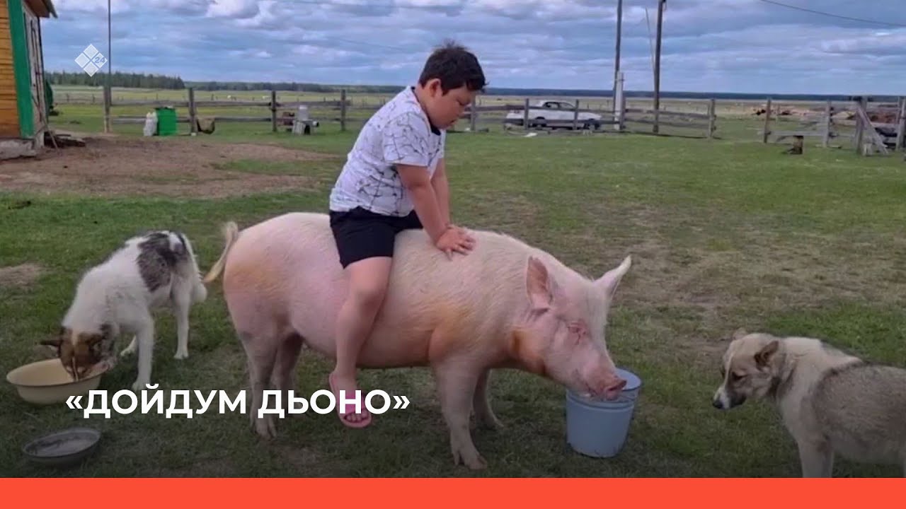 «Дойдум дьоно» биэриигэ: Сунтаар улууһун «Таас» сайылыга (28.06.23)