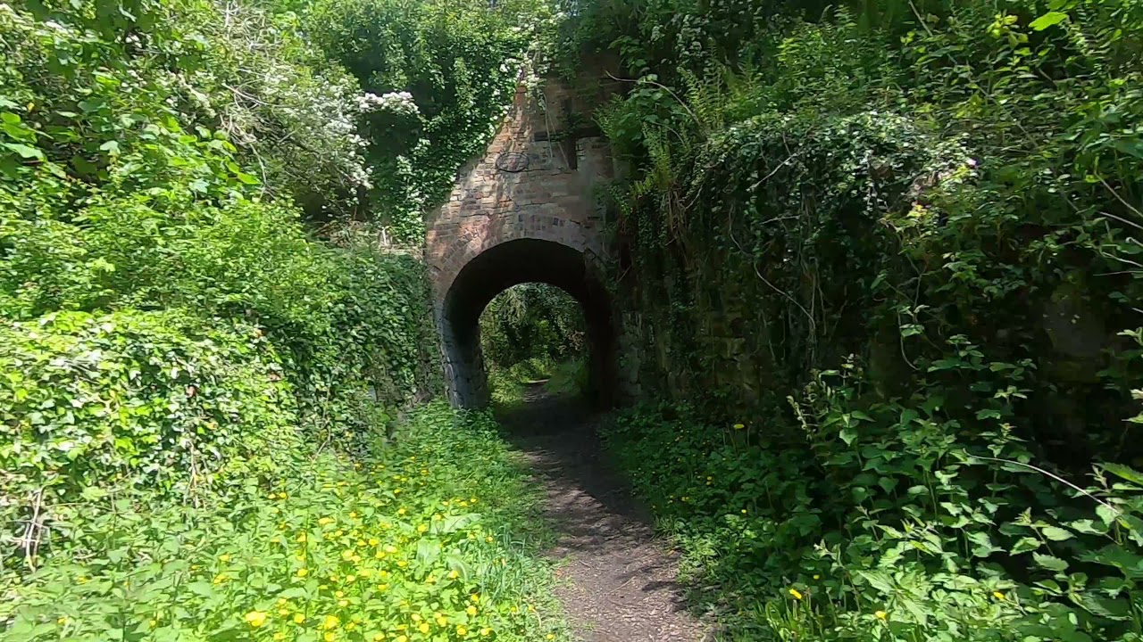 A walk through Dawley Hamlets Nature Reserve & Pit Mounds, Little Dawley, Telford 27.5.21