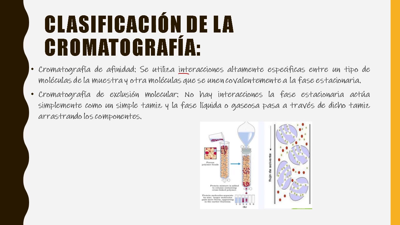 CROMATOGRAFIA Y SUS FUNDAMENTOS