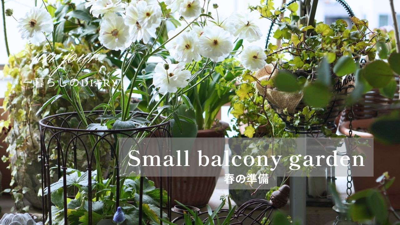 小さなお庭に春を！｜ガーデニングに使えるバスケット｜植物と暮らす日常