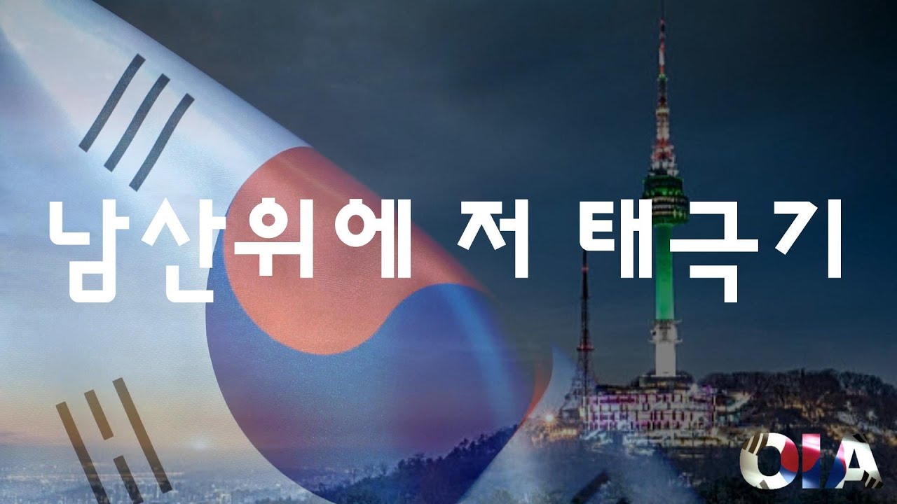 남산에서 태극기 흔들기