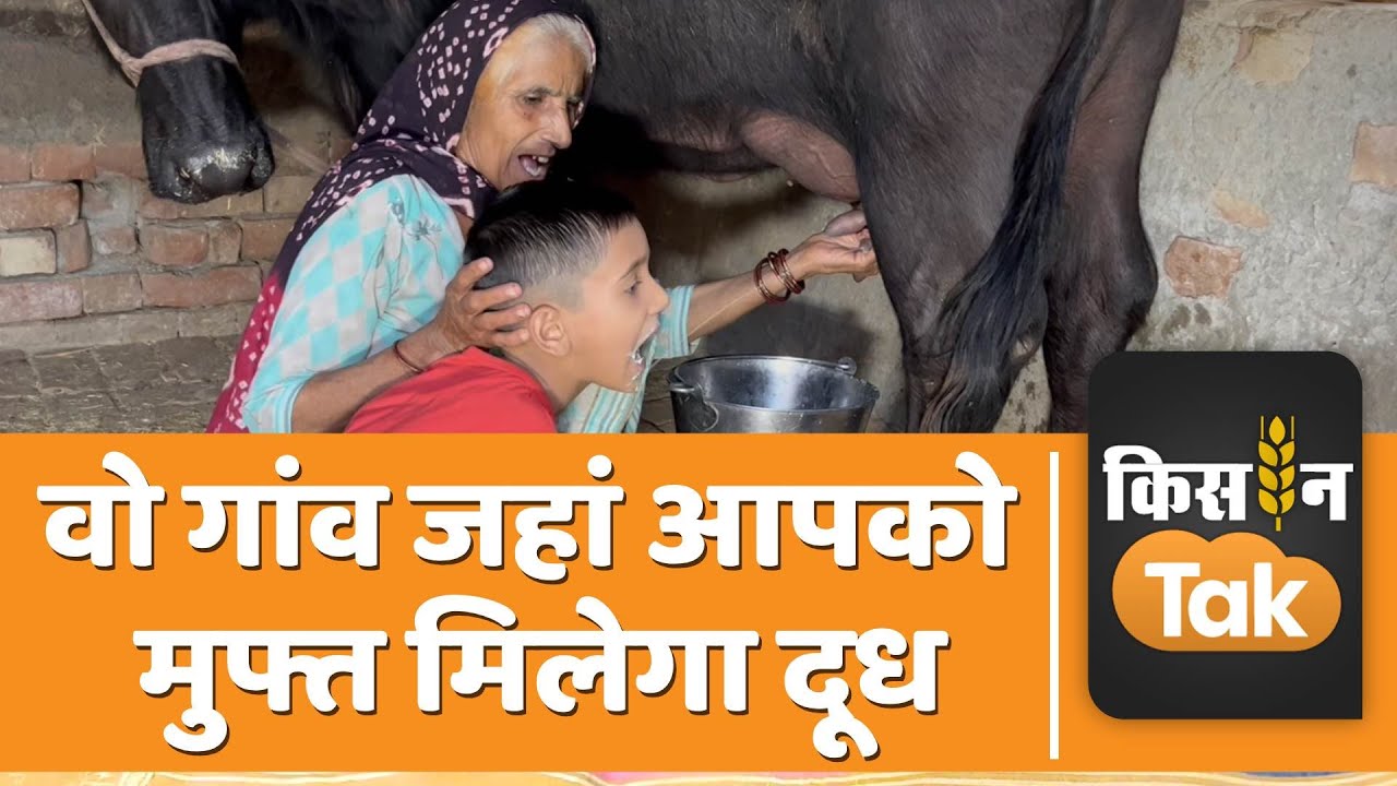 Nathuwas Village Free Milk: एक गांव ऐसा भी जहां फ्री मिलता है दूध | Haryana | Kisan Tak