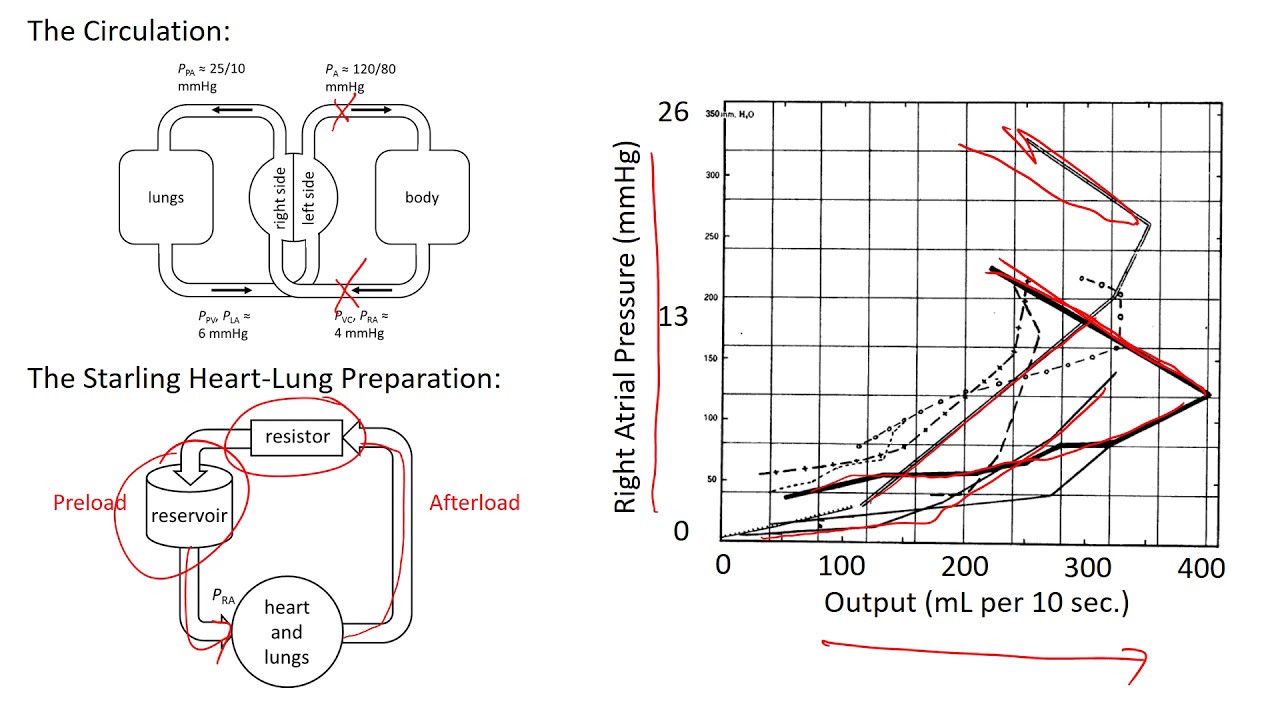 The Descending Limb of the Starling Curve