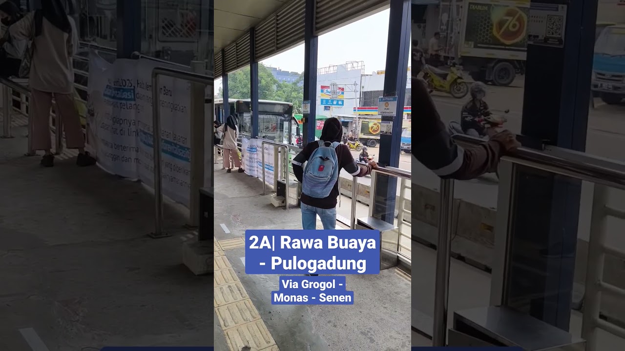 Transjakarta Koridor 2A: Rawa Buaya - Pulogadung #transjakarta #busway #jakarta #jaklingko #shorts