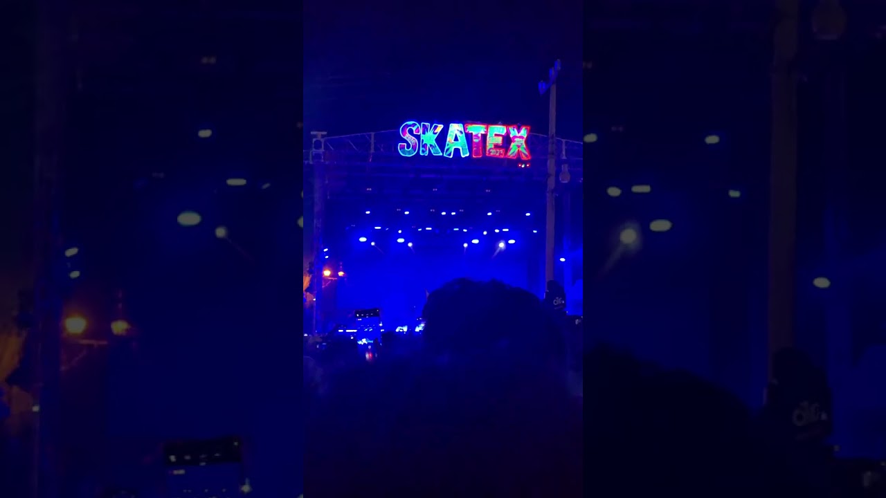 Así fue el concierto de Panteón Rococo en el SKATEX 2024.