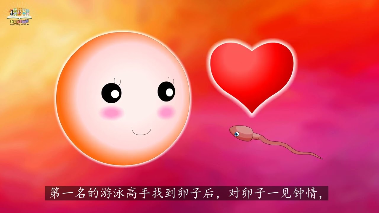 《人类》  六年级科学 单元二