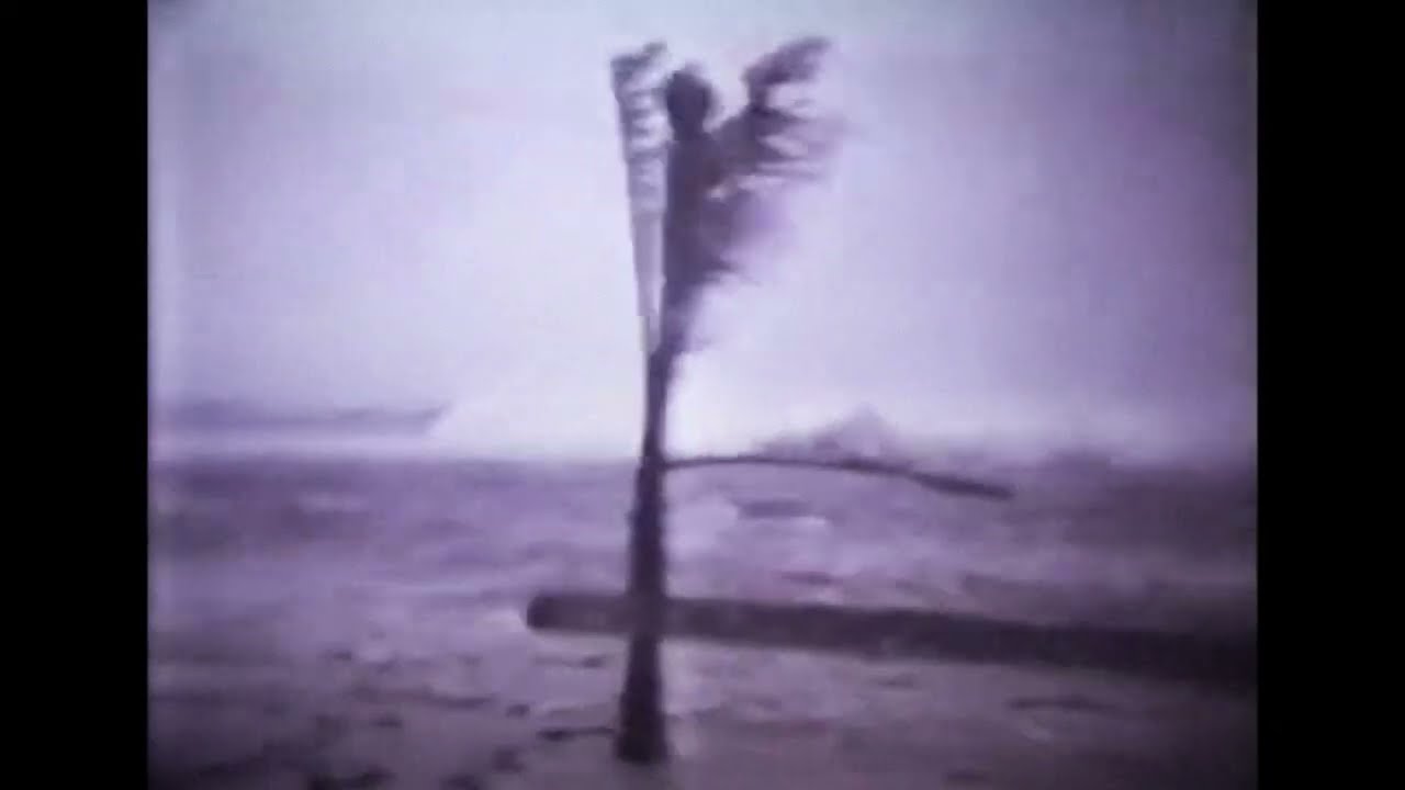 ＧＬＯＢＡＬ　ＦＯＲＥＣＡＳＴ -  Vaporwave for the End of the World