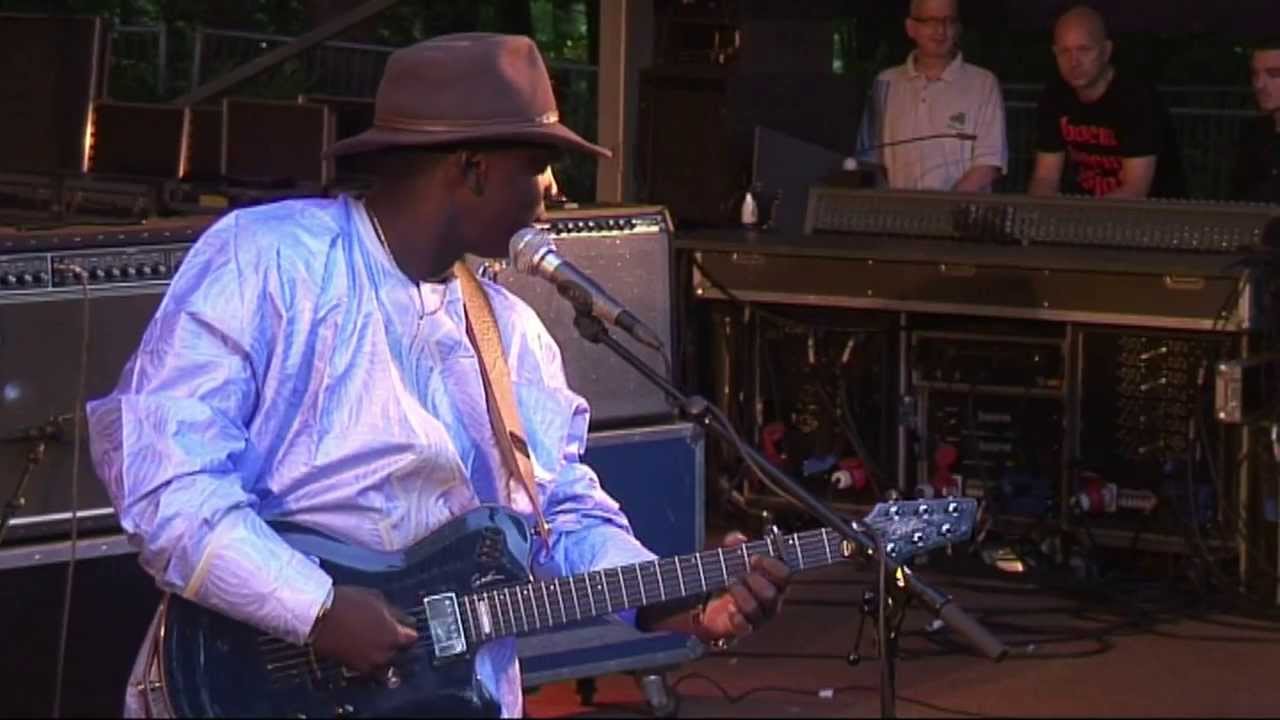 Vieux Farka Touré - 3 - LIVE at Afrikafestival Hertme 2008