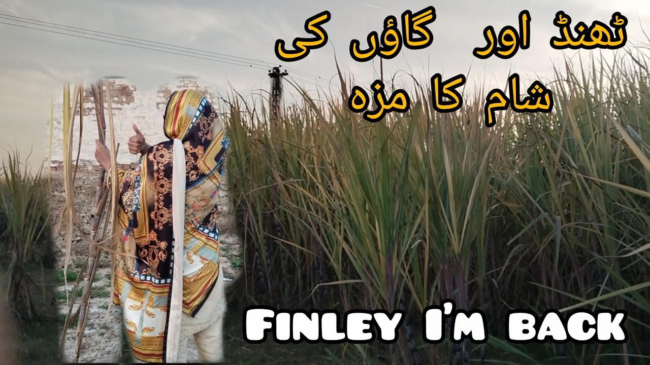 Finely I'm back after 5 months 🤗👉Speciality of winter in sindh@AzeemaBaloch @Baloch family vlog@