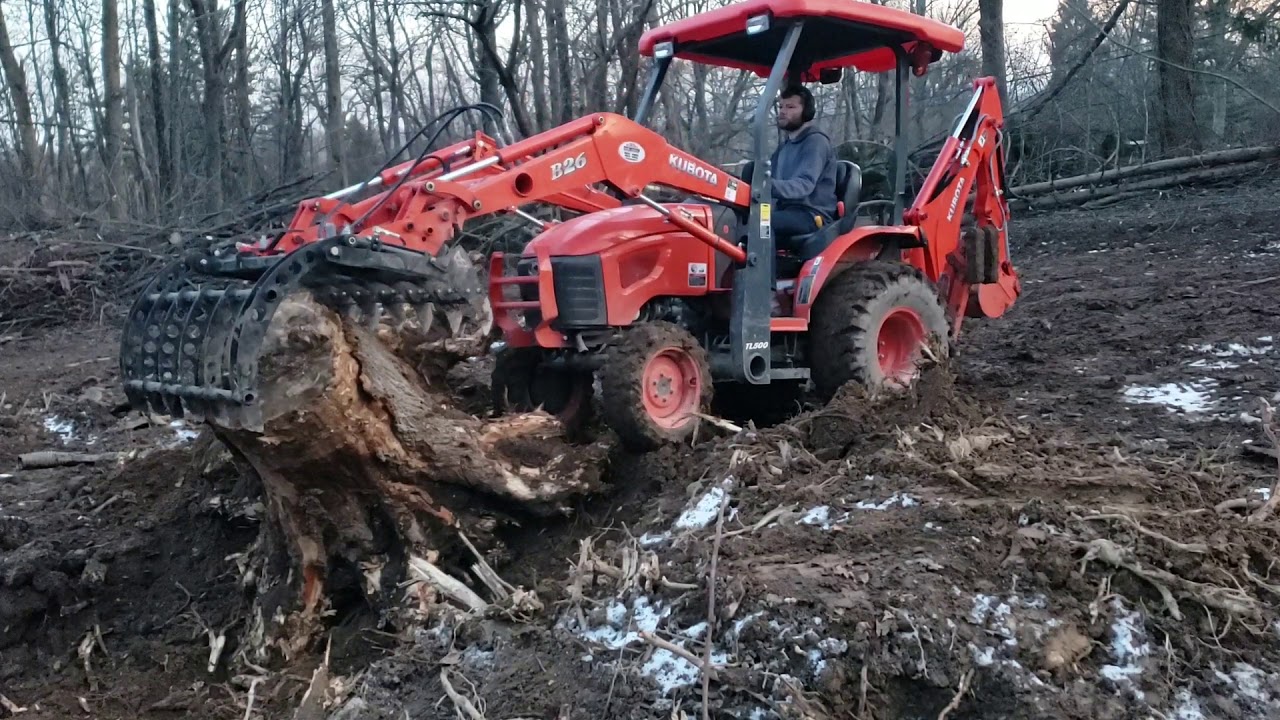 Huge ash stump!  Kubota b26 and Everything Attachments Wicked 55