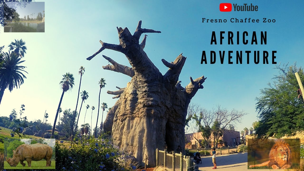 African Adventure Fresno Chaffee Zoo