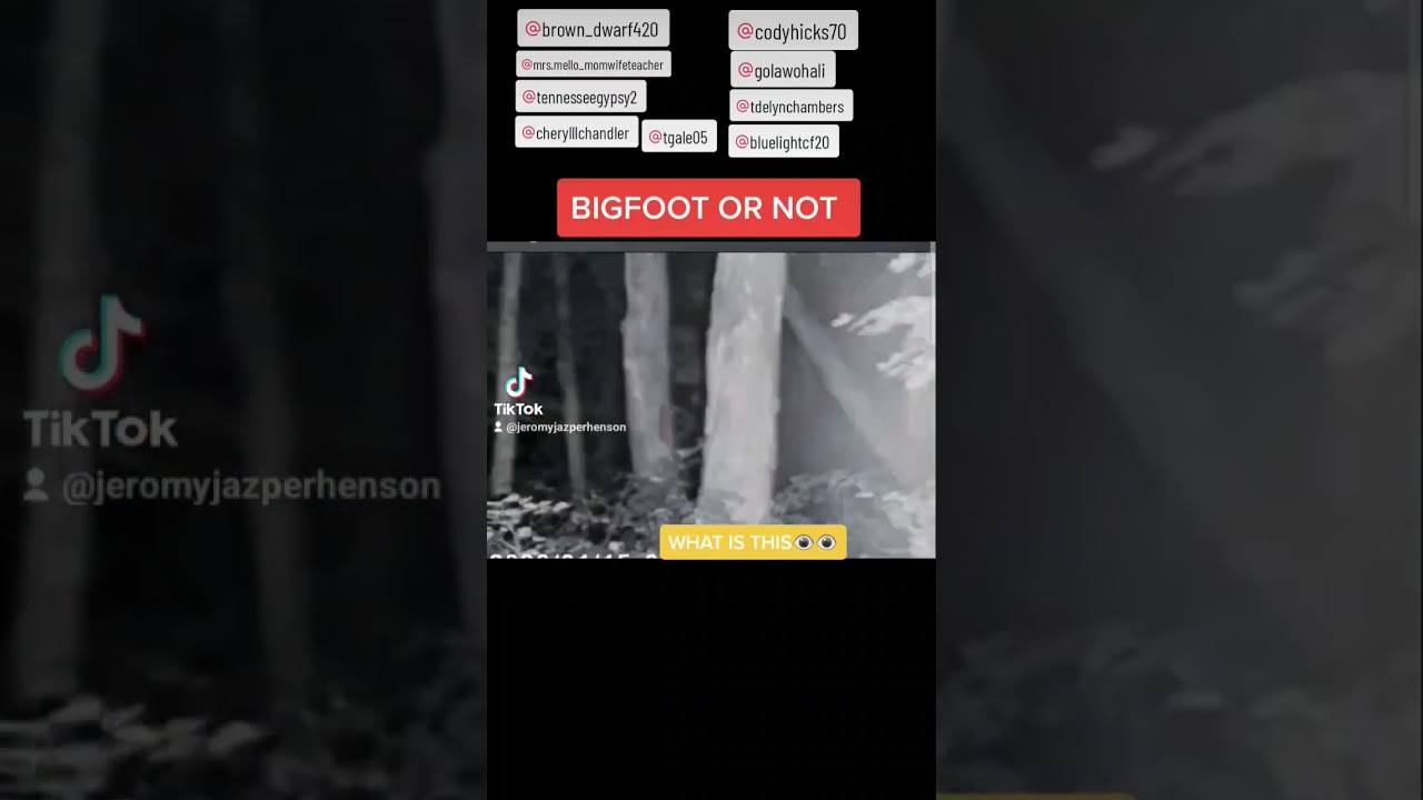 BIGFOOT OR NOT#viral #fyp #shorts #youtube #bigfoot #hiding #squatch #foryou  #foryoupage #sasquatch