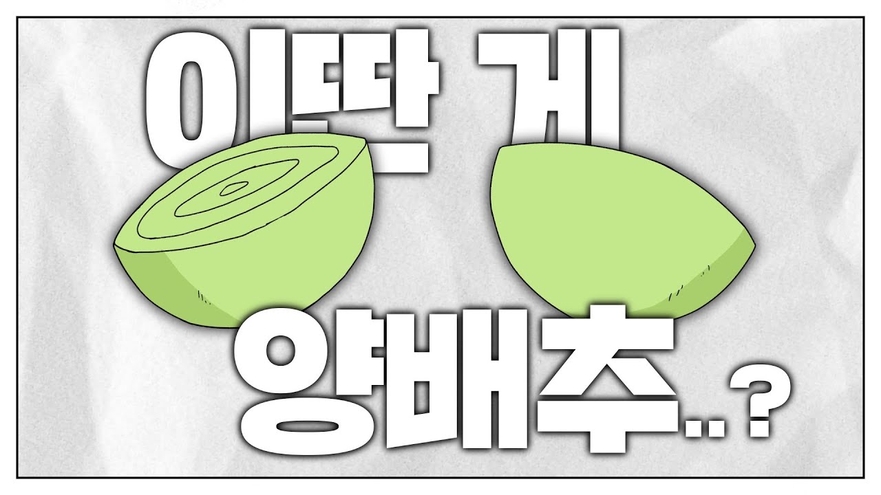 양배추 대참사 : 일본 애니메이션 업계 전체를 바꿔놓은 최악의 장면