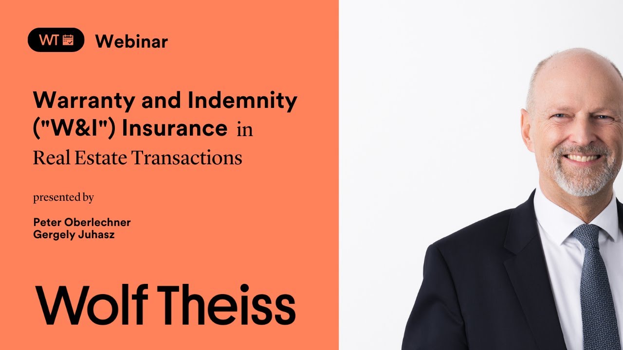 Warranty and Indemnity (