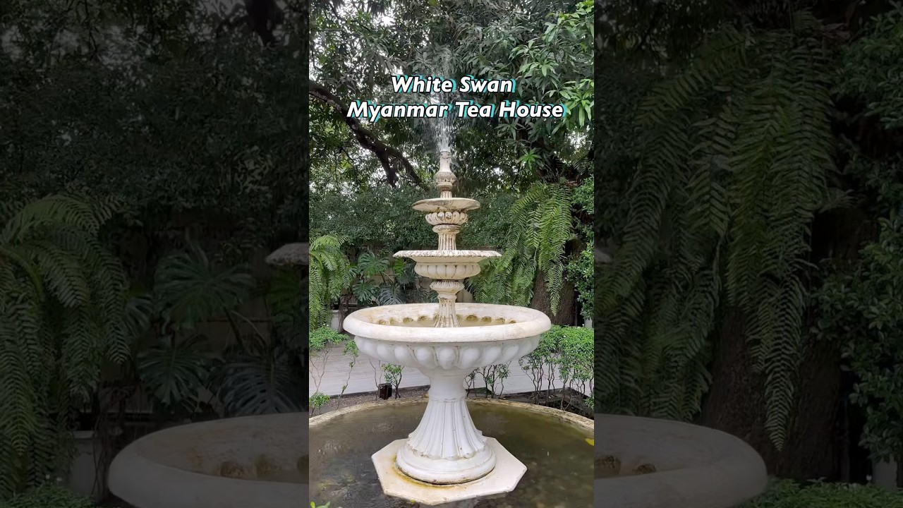 &ldquo;White Swan Myanmar Tea House&rdquo; 정원과 호수뷰를 가진 고급스런 레스토랑 #yangon #cafe #restaurant #myanmar #양곤 #food