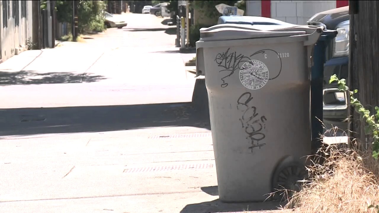 Destructive images of flowers popping up in Midtown Sacramento