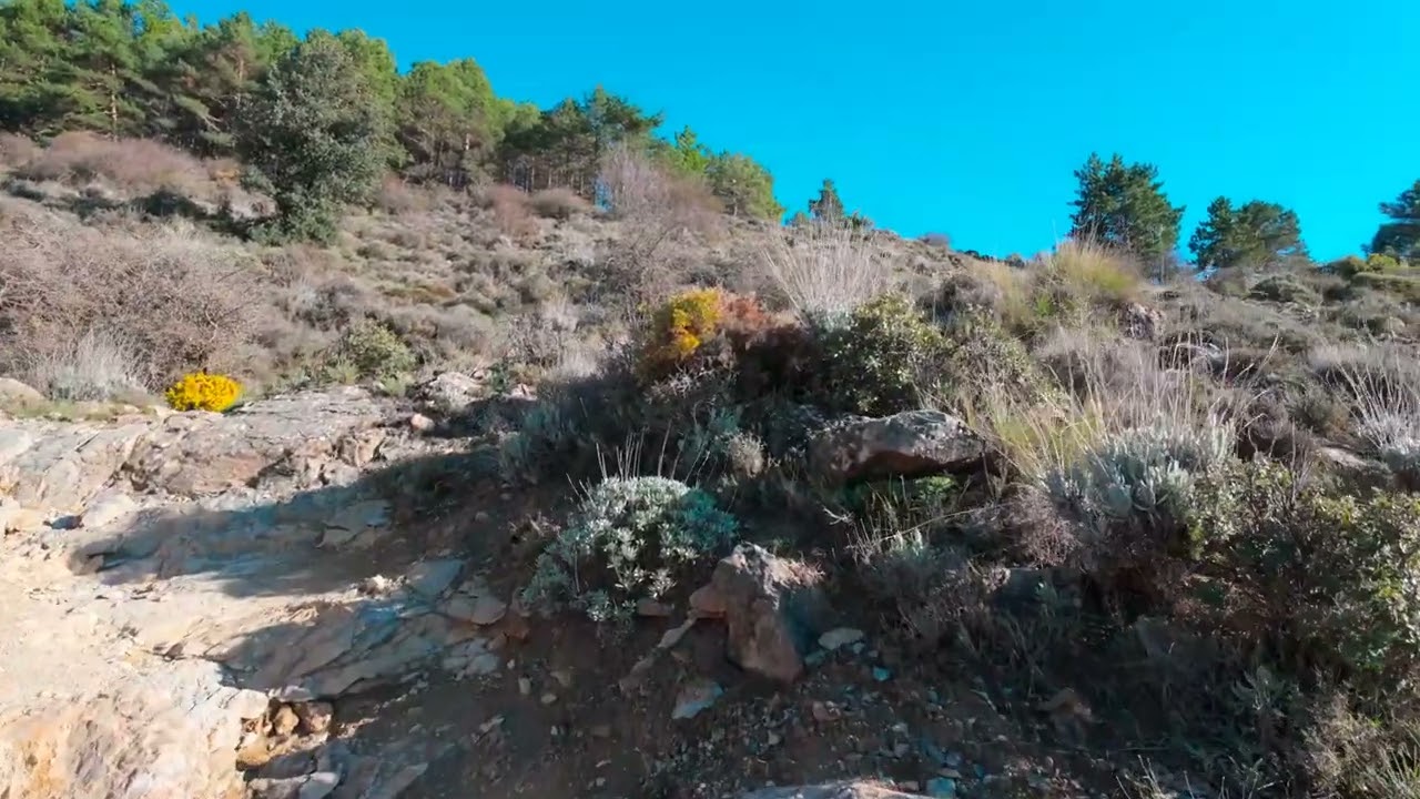 Sierra Nevada National Park. The Espartera Canal. Granada, Spain