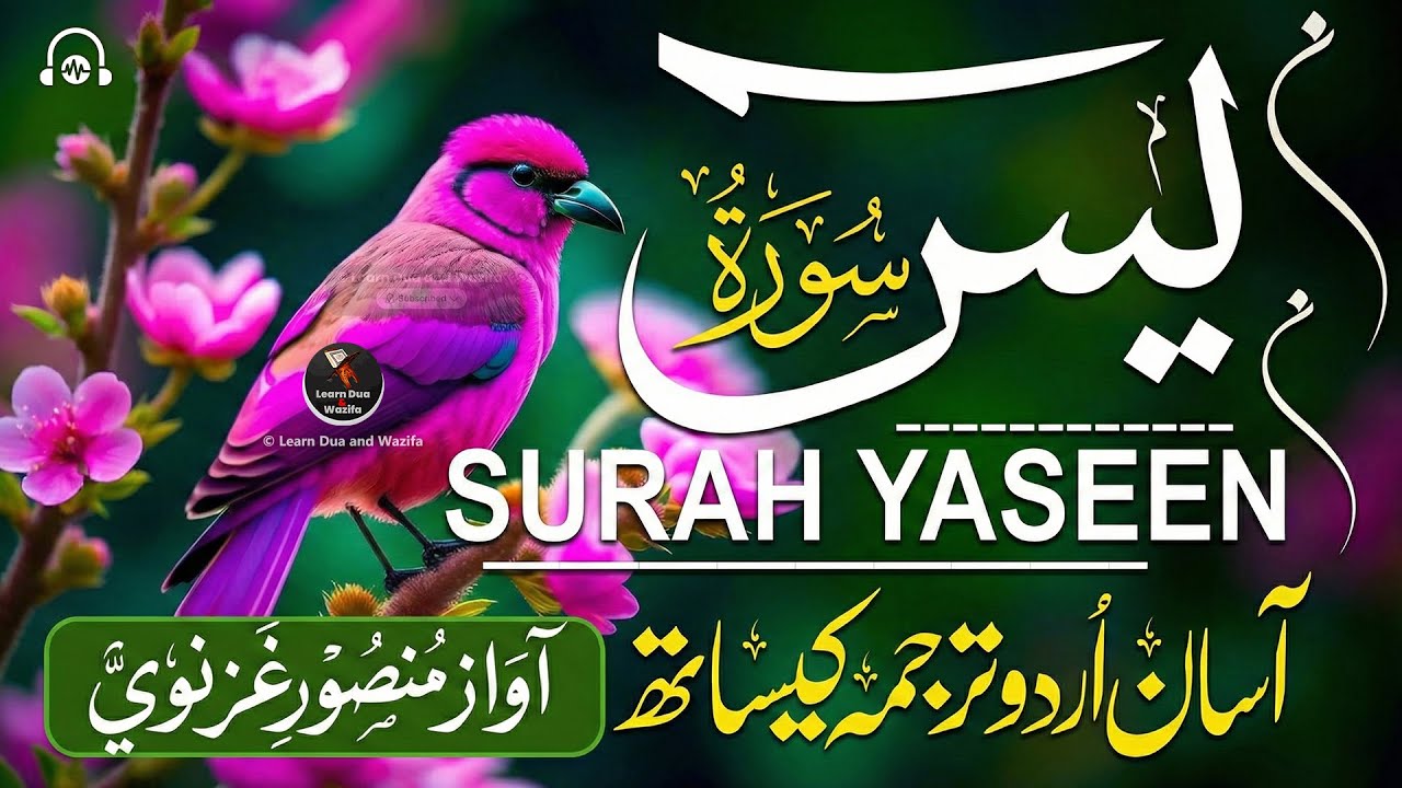 Surah Yasin (Yaseen) for Healing | Relieve Stress, Depression & Anxiety | سورة يس | #surahyaseen